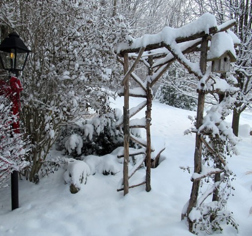 Time to get back in the garden and assess winter’s damage